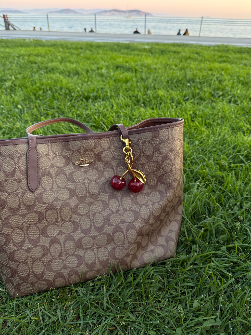 Cherry Pop Charm - Sweet and Brave Edition