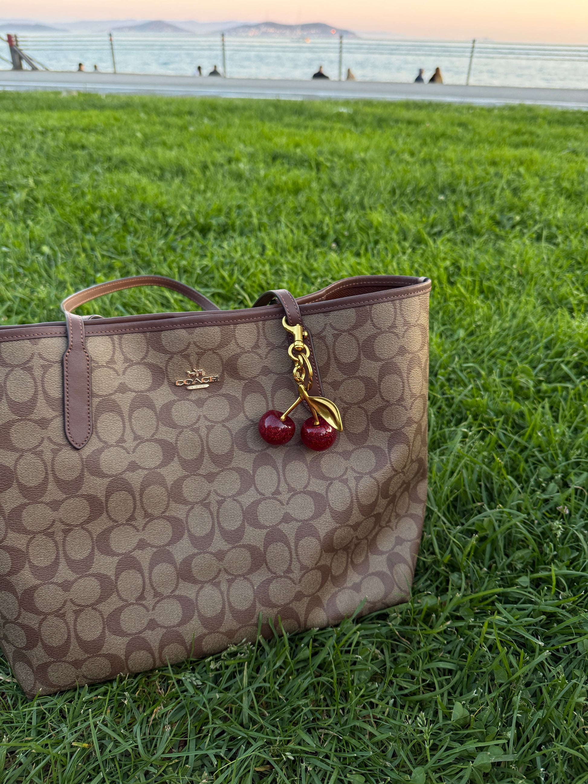 Cherry Pop Charm - Sweet and Brave Edition